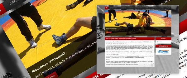 webdesign für den ringerverband fulda